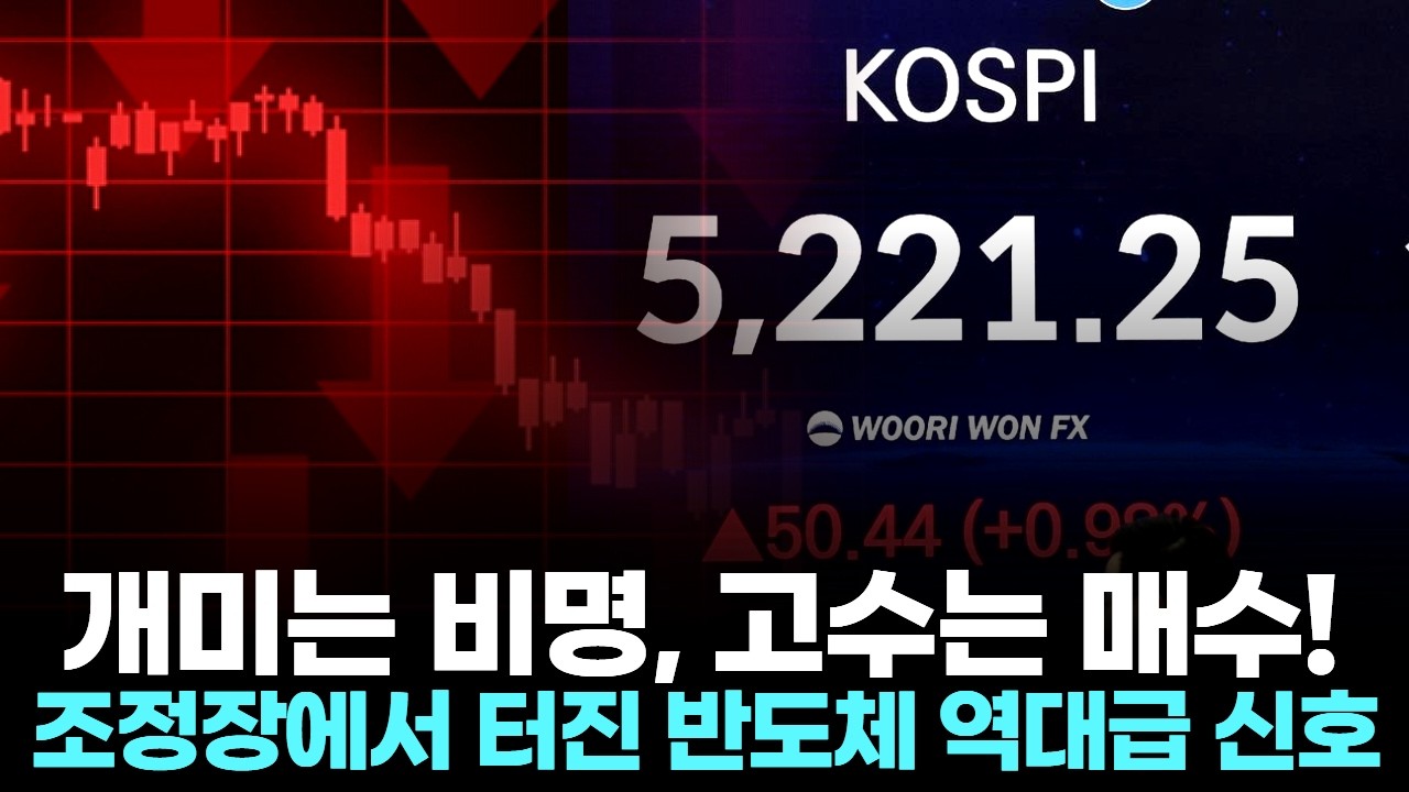 개미는 비명, 고수는 매수! 조정장에서 터진 반도체 역대급 신호