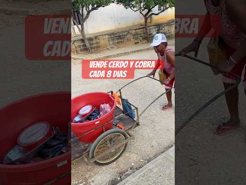 Lorena vende cerdo en las calles de San Onofre Sucre y cobra en 8 dias