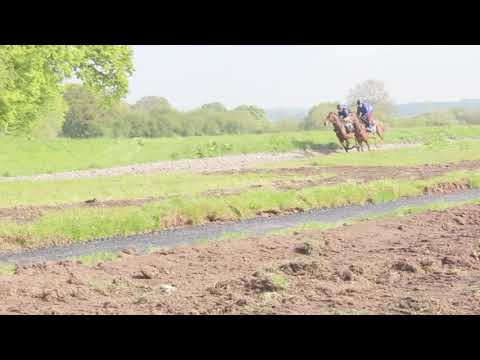 Handy Hollow 11 5 19