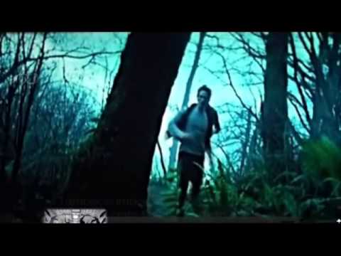 ro-shape- fieste fiesta!- pluma pluma gay edward y jacod