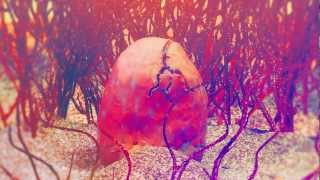 Esben and the Witch - &quot;When That Head Splits&quot; Official video