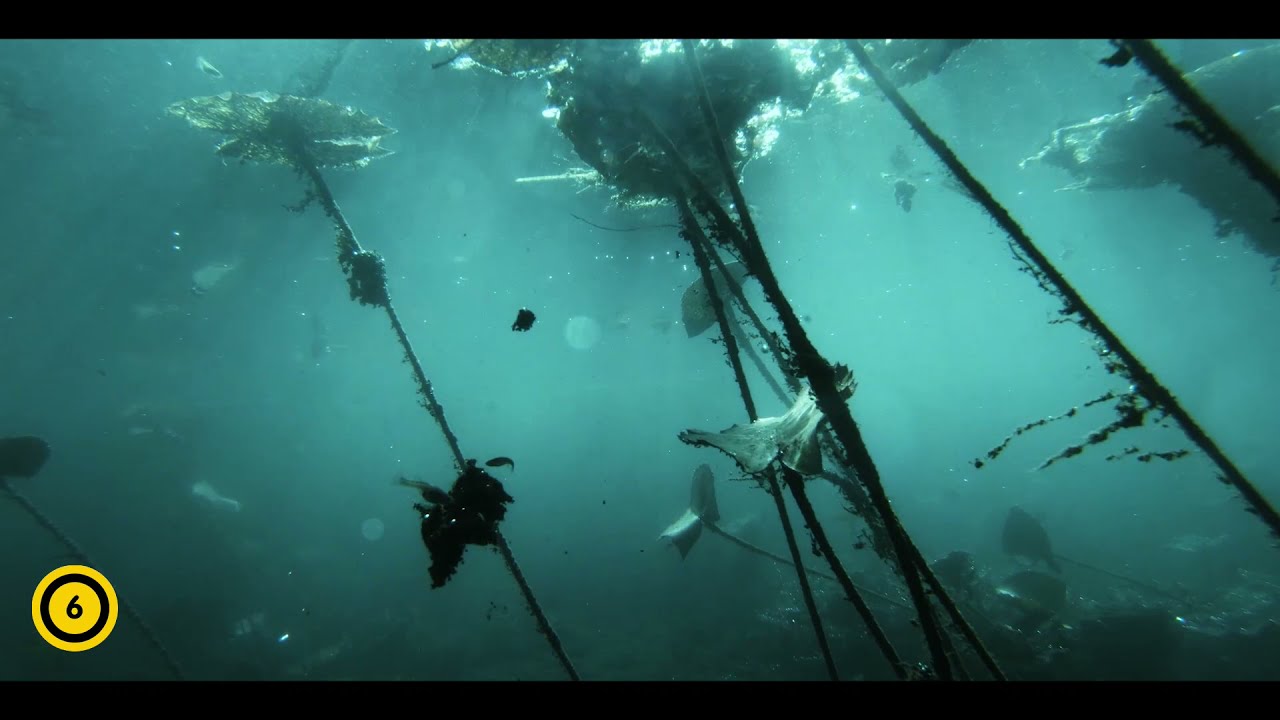 Vad víz - Aqua Hungarica (6) - Június 3-tól a mozikban!