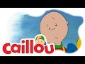 Caillou Caillou Visits The Doctor S01E11 Videos For Kids