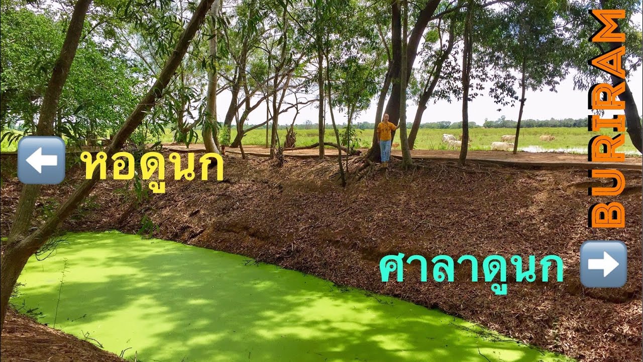 Sanam Bin Reservoir Non-Hunting Area