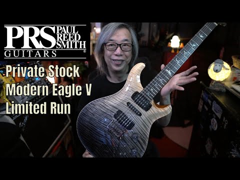 PRS Private Stock Modern Eagle V - Frostbite Fade image 17