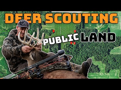 Deer Scouting 101 - EVERYTHING YOU NEED TO KNOW!!!