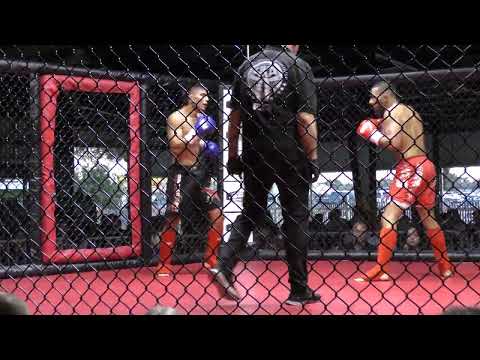 Stellar Fights 51 - Eduardo "El Diablo" Hernandez vs. Matthew Santos