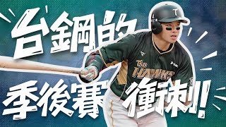 [閒聊] 野球革命-台鋼季後賽之旅