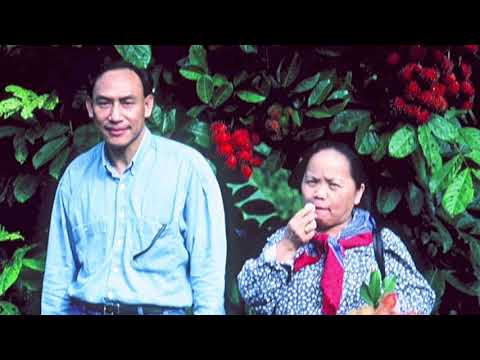 Kx. Ntxoov xeeb yaaj=Roob txhawb sab nyob rua Faabkis Teb xyoo 1992