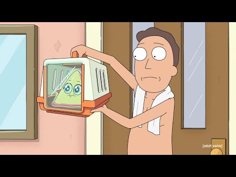 I'm mr. Frundles - Rick and Morty