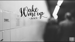 Lyrics - Vietsub || Avicii - Wake me up {Cover by Madilyn Bailey}