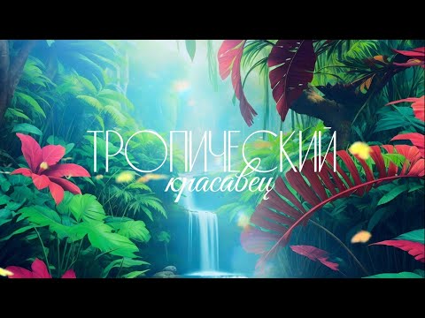 Обзор набора "Тропический красавец"