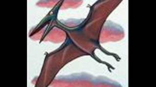 dinosaurs Go Rawr - Amy Can Flyy