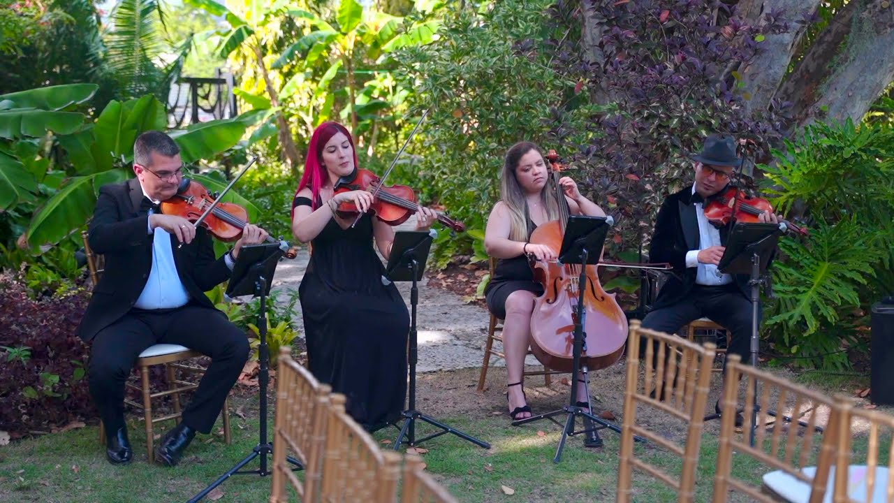 Promotional video thumbnail 3 for Miami Musicians for Events