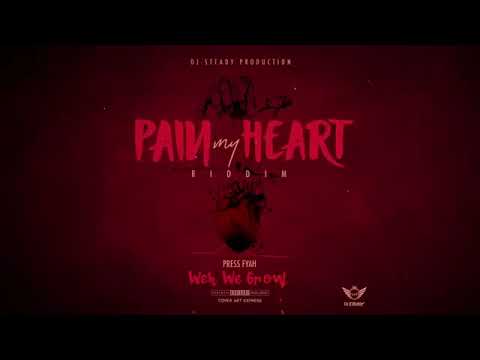Press fyah - Weh We Grow ( official audio )