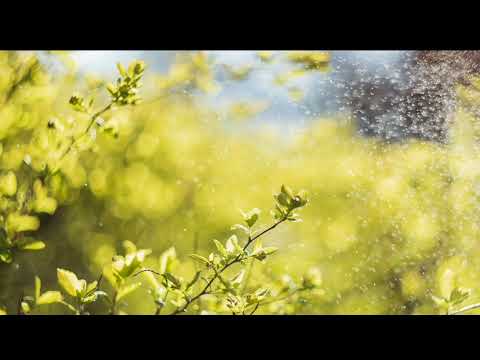 Olkoon ylläsi kirkas taivas