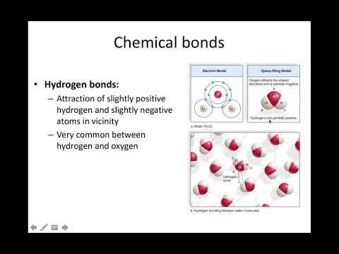 Chemical Level of Organization Part 1