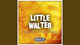 Shake Dancer (feat. Willie Dixon)