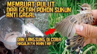 Download lagu CARA MEMBUAT PULUT DARI GETAH POHON SUKUN LANGSUNG DI COBA , HASILNYA MANTAP !! mp3