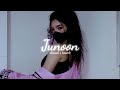 Junoon (Slowed + Reverb) Jinni Vari Dekhu Tenu Milda Sukoon Ve | HB LOFI