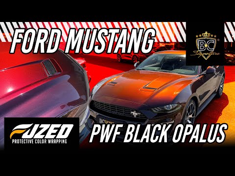 Enhancing Your Ride with Window Film
