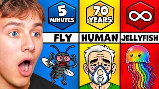 BeckBros React To Shortest To Longest Animal Lifespans