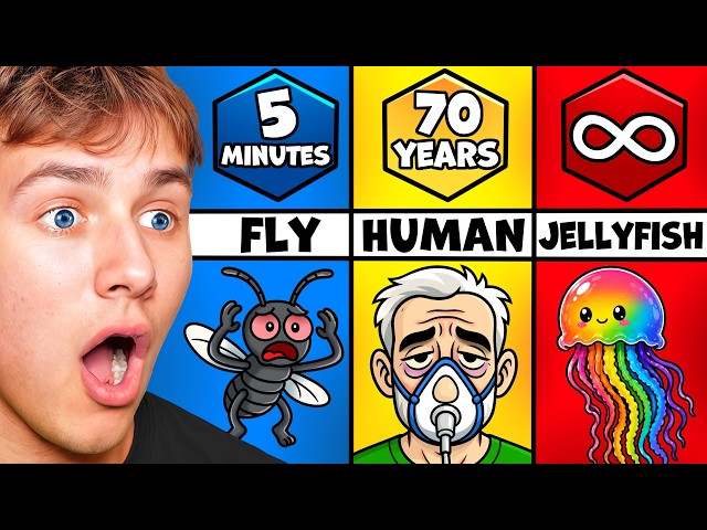 BeckBros React To Shortest To Longest Animal Lifespans