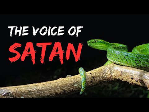 Satan's Lie vs God's Truth | Are You Listening to the Wrong Voice?
