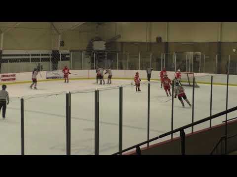 Haley Knauf #9 Grey Team Wisconsin goal 10-25-19