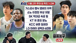 [벳조이][KBL 루머&팩트] 가스공사 벨낙 콤비의 위력ㅣ소노 이정현 부상 이탈ㅣSK 역대급 속공 팀ㅣKT 허 훈의 분노ㅣKCC 버튼 딜레마ㅣLG 마레이 공백과 6연패