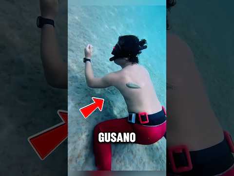 Este PEZ es PELIGROSO 😱 #curiosidades #datoscuriosos #shorts