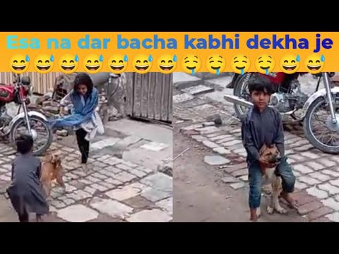 fun with a dog | chellenge with dog childs and dogs funny videos | fun chellenge