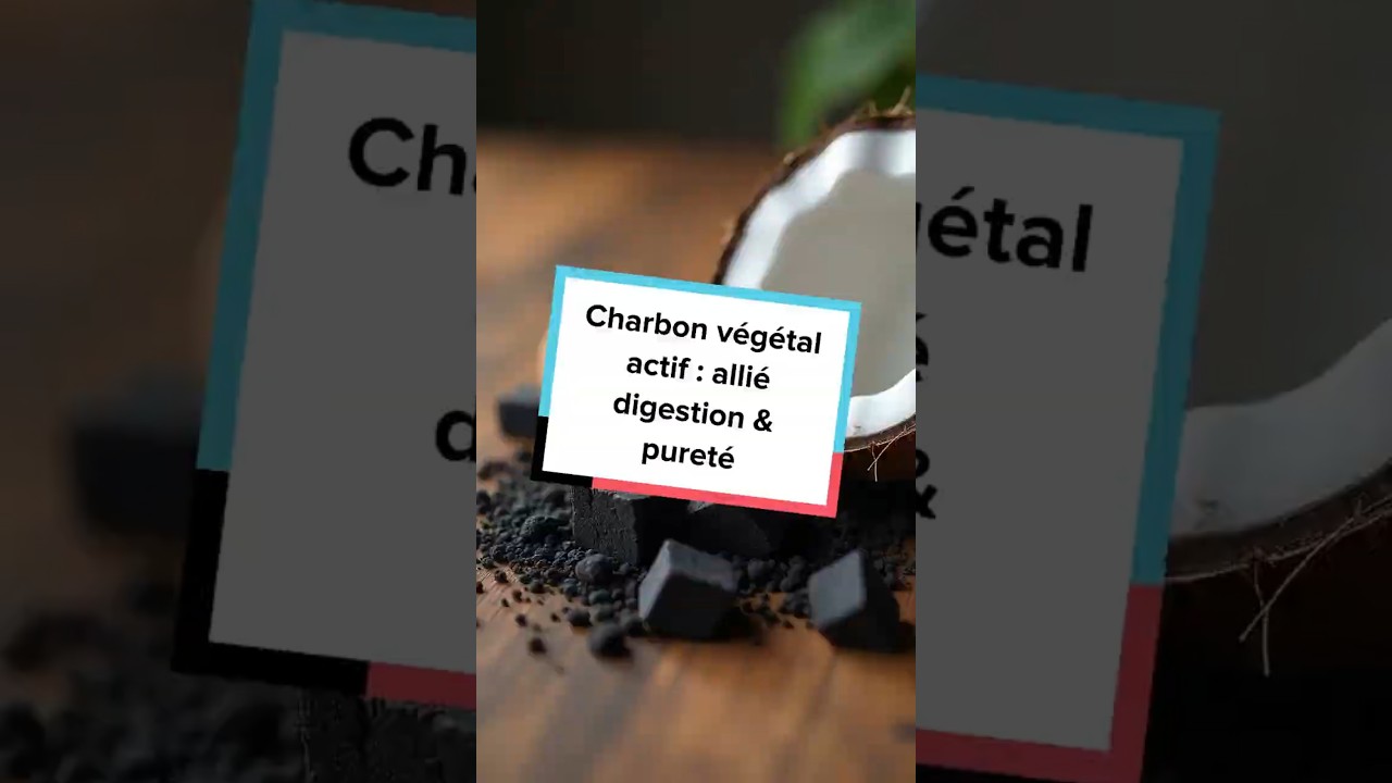 Vidéo présentation