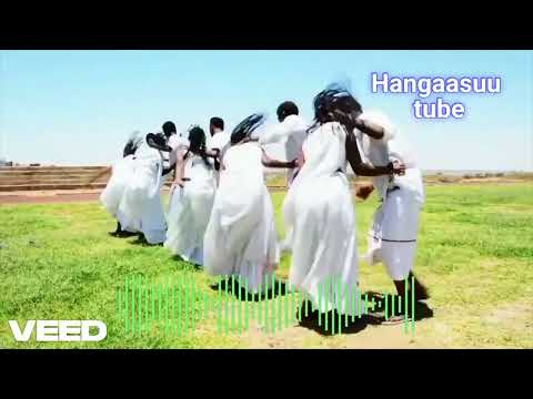 Taajuu Shurrubbee- Shaggooyyee Sirba jaalalaa -New Ethiopian Oromo Music 2025