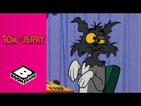 Robot Cat and Mouse Chase  | Tom & Jerry | Boomerang UK