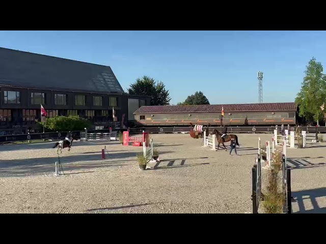 Jument CSO 10 ans &ndash; Zangersheide 
