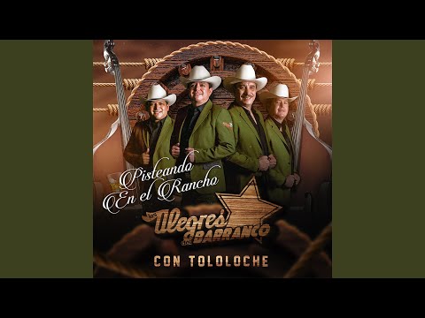 Una Aventura (Con Tololoche)