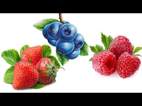 5 of the best berries that grow well in containers