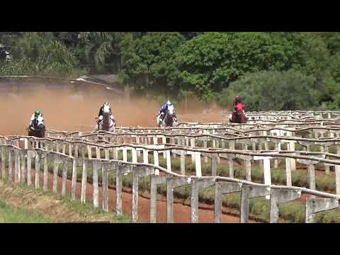 FINAL -  GP JOAO BATISTA DA SILVA JANGUINHO - 425M - NACHOS   -  CARAZINJHO