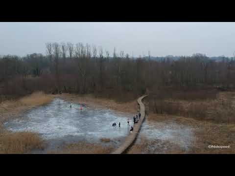 Drone Beekbergerwoud