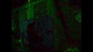 SFDK INTERLUDIO 2005