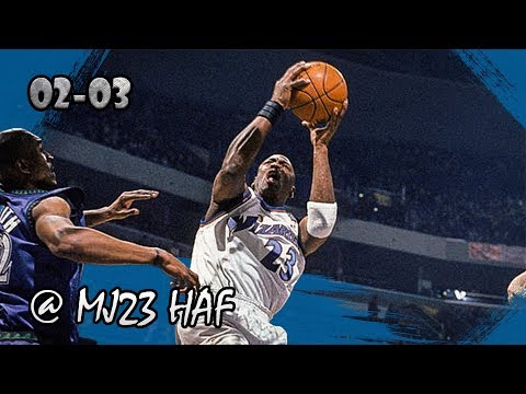 Michael Jordan Highlights vs Timberwolves (2003.01.25) - 17pts