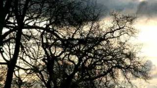 The Samples "14th and Euclid"