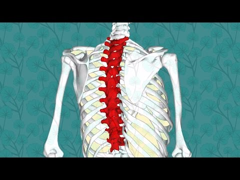 Tiri da malattia degenerativa del disco nella zona lombare Dita doloranti nelle articolazioni
