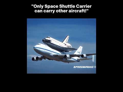 The Little Skipper 🥶🔥 | #shorts #trending #aviation