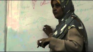 Dr Sahar - Repair 3 - Fibrosis