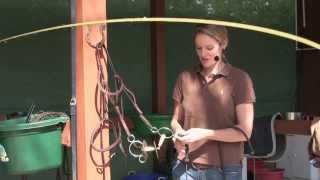 How To Put Two Reins On A Bit