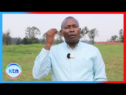 Wasiwasi waongezeka Mandera kuhusu vikosi vya Jubaland, wabunge wa Kiambu waita utulivu