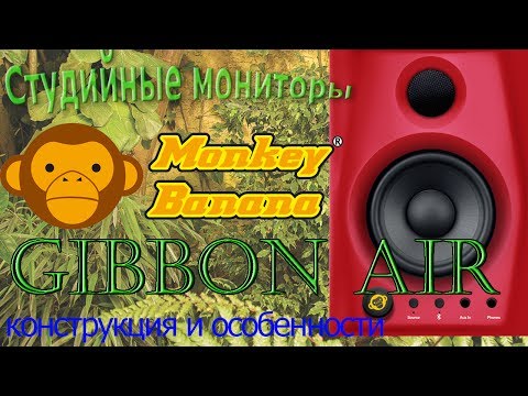 Обзор Monkey Banana Gibbon AIR