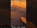 I Miss You Jaan ️ Status Full Screen I Miss You Status Missing Status Shorts